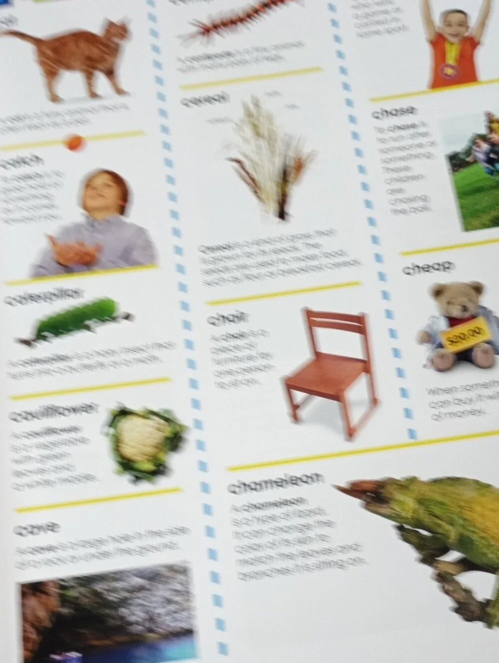 My First Dictionary - Colorful Kids Picture Dictionary